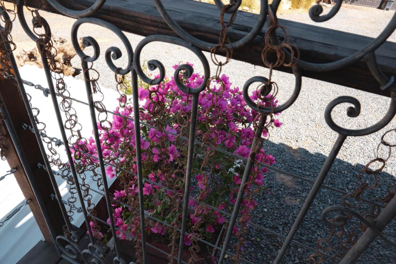 Vina Calabria Bed & Breakfast Valle de Guadalupe Exterior photo