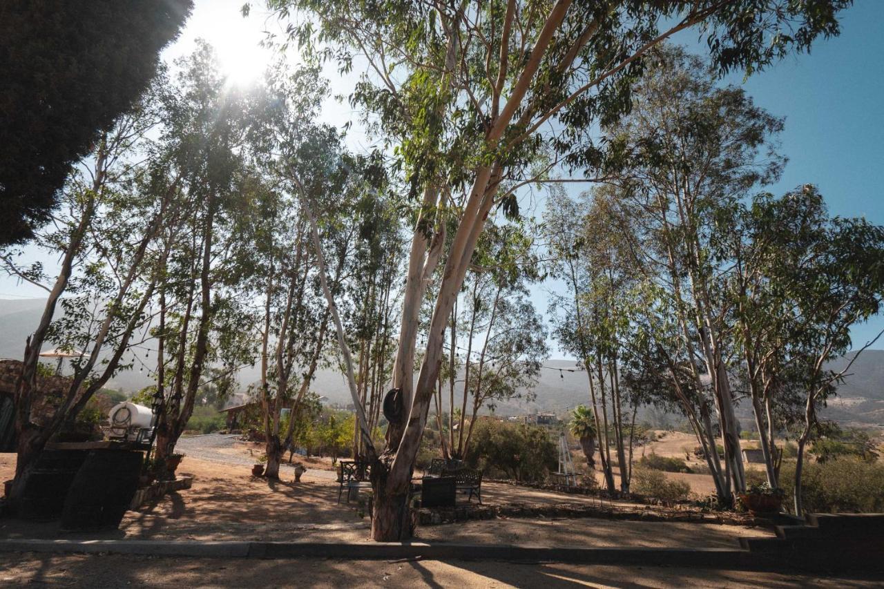 Vina Calabria Bed & Breakfast Valle de Guadalupe Exterior photo